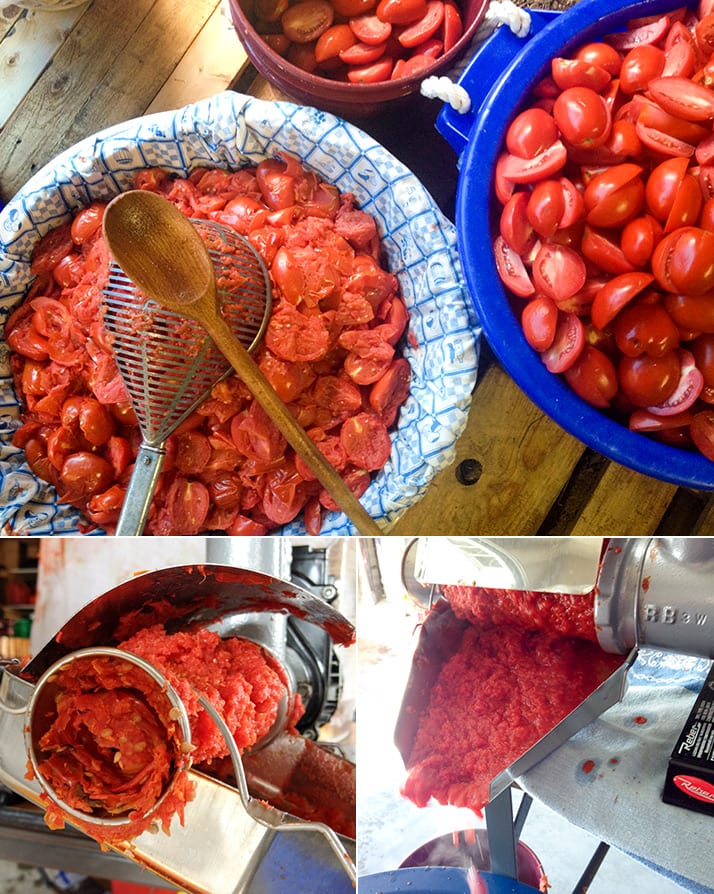Canning Tomatoes